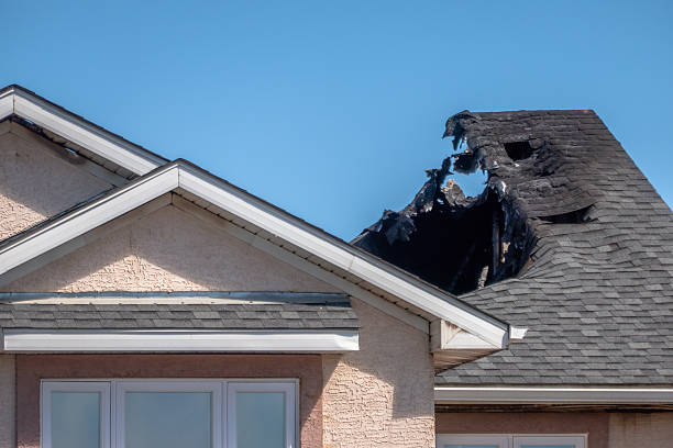 Top rated local Fire Damage Removal specialists in Maple Plain, MN